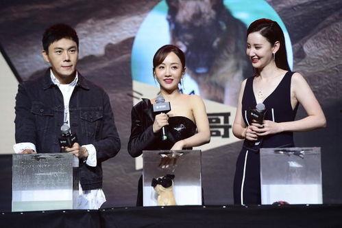 吃瓜娱乐合集在线观看