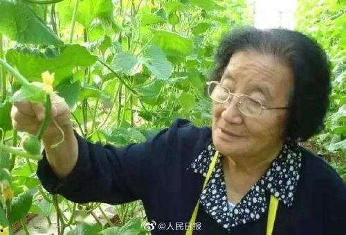 娱乐吃瓜酱同学结婚,甜蜜婚礼见证爱情传奇